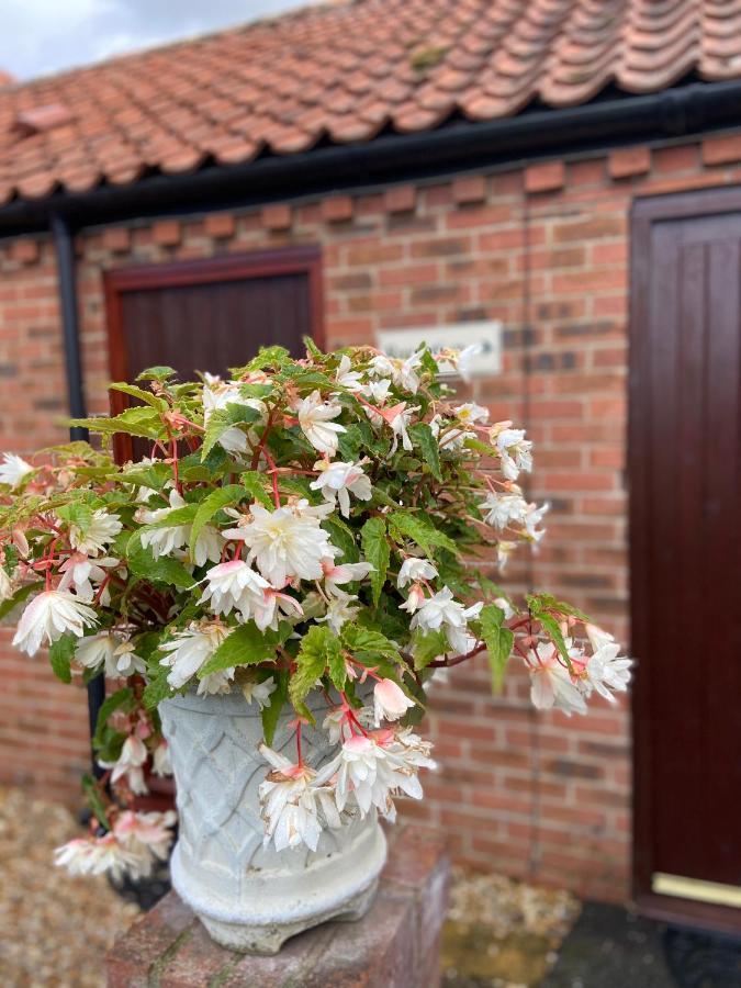 Willow Tree Cottages Newark-on-Trent Zewnętrze zdjęcie